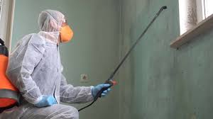 Best Commercial Mold Inspection  in Laurens, SC