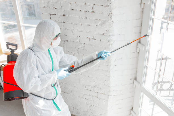 Best Mold Remediation for Healthcare Facilities  in Laurens, SC