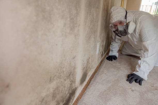 Best Residential Mold Inspection & Testing  in Laurens, SC