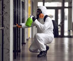 Best Mold Remediation for Healthcare Facilities  in Laurens, SC